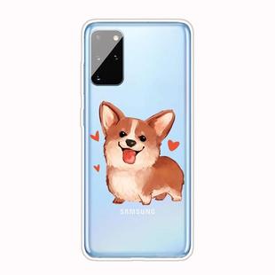 For Samsung Galaxy S20 Shockproof Painted TPU Protective Case(Love Corgi)