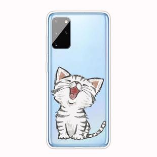 For Samsung Galaxy S20+ Shockproof Painted TPU Protective Case(Laughing Cat)