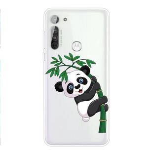 For Motorola Moto G8 TPU Pattern Soft Protective Case(Bamboo Panda)