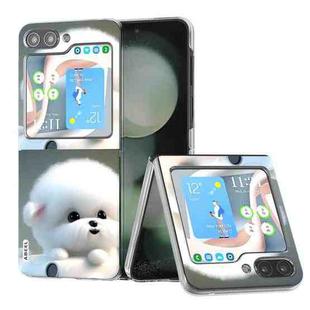 For Samsung Galaxy Z Flip5 ABEEL PC Paintings Pattern Phone Case(Dog)
