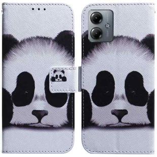 For Motorola Moto G14 Coloured Drawing Flip Leather Phone Case(Panda)