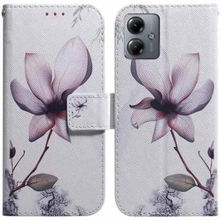 For Motorola Moto G14 Coloured Drawing Flip Leather Phone Case(Magnolia)