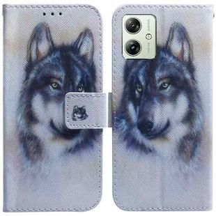 For Motorola Moto G54 Coloured Drawing Flip Leather Phone Case(White Wolf)