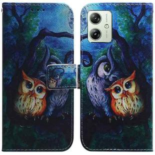 For Motorola Moto G54 Coloured Drawing Flip Leather Phone Case(Oil Painting Owl)