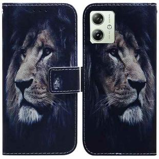 For Motorola Moto G54 Coloured Drawing Flip Leather Phone Case(Lion)