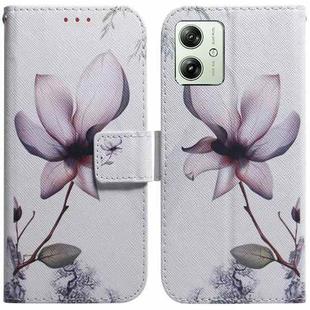 For Motorola Moto G54 Coloured Drawing Flip Leather Phone Case(Magnolia)