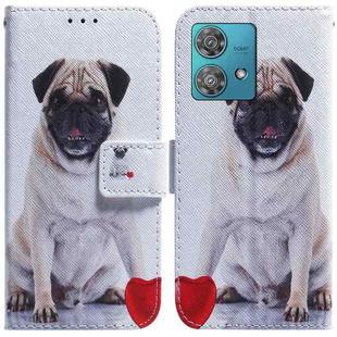 For Motorola Edge 40 Neo Coloured Drawing Flip Leather Phone Case(Pug)