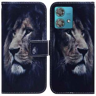 For Motorola Edge 40 Neo Coloured Drawing Flip Leather Phone Case(Lion)