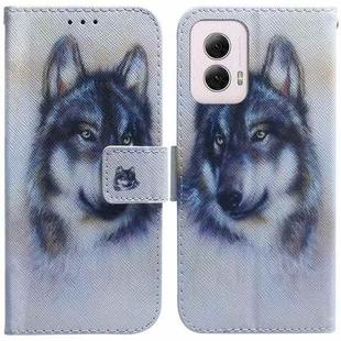 For Motorola Moto G Power 5G 2024 Coloured Drawing Flip Leather Phone Case(White Wolf)