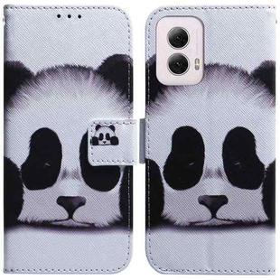 For Motorola Moto G Power 5G 2024 Coloured Drawing Flip Leather Phone Case(Panda)