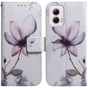 For Motorola Moto G Power 5G 2024 Coloured Drawing Flip Leather Phone Case(Magnolia)