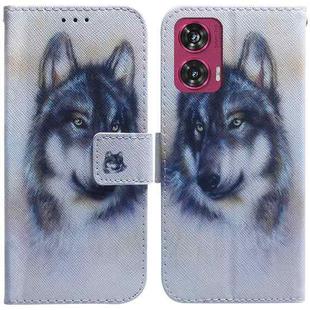 For Motorola Edge 50 Fusion Coloured Drawing Flip Leather Phone Case(White Wolf)