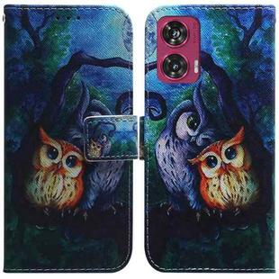For Motorola Edge 50 Fusion Coloured Drawing Flip Leather Phone Case(Oil Painting Owl)