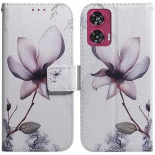 For Motorola Edge 50 Fusion Coloured Drawing Flip Leather Phone Case(Magnolia)