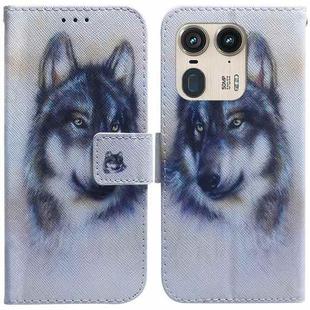 For Motorola Edge 50 Ultra Coloured Drawing Flip Leather Phone Case(White Wolf)