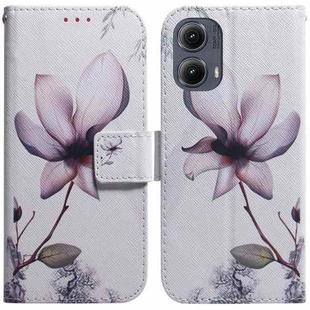 For Motorola Edge 2024 Coloured Drawing Flip Leather Phone Case(Magnolia)