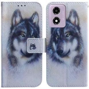 For Motorola Moto G04s / Moto E14 Coloured Drawing Flip Leather Phone Case(White Wolf)