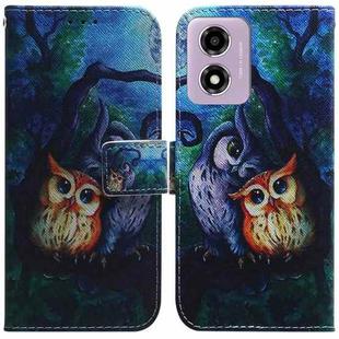 For Motorola Moto G04s / Moto E14 Coloured Drawing Flip Leather Phone Case(Oil Painting Owl)