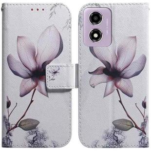 For Motorola Moto G04s / Moto E14 Coloured Drawing Flip Leather Phone Case(Magnolia)