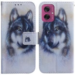 For Motorola Moto G55 Coloured Drawing Flip Leather Phone Case(White Wolf)