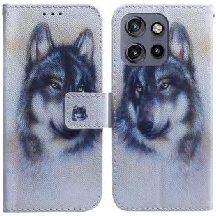 For Motorola Edge 50 Neo 5G Global Coloured Drawing Flip Leather Phone Case(White Wolf)