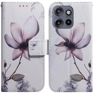 For Motorola Edge 50 Neo 5G Global Coloured Drawing Flip Leather Phone Case(Magnolia)