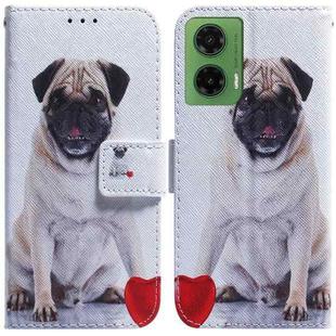 For Motorola Moto G35 Coloured Drawing Flip Leather Phone Case(Pug)