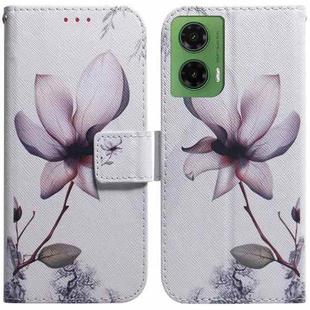 For Motorola Moto G35 Coloured Drawing Flip Leather Phone Case(Magnolia)