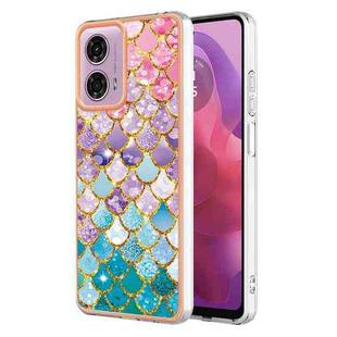 For Motorola Moto G04 4G / G24 4G Electroplating IMD TPU Phone Case(Colorful Scales)