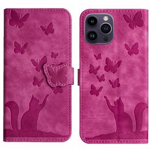 For iPhone 14 Pro Max Butterfly Cat Embossing Flip Leather Phone Case(Pink)