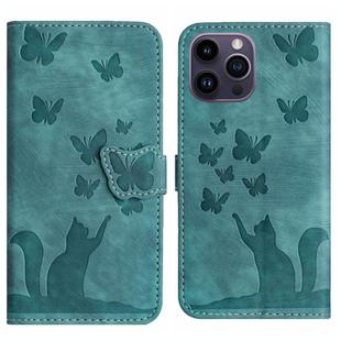 For iPhone 14 Pro Max Butterfly Cat Embossing Flip Leather Phone Case(Wathet)