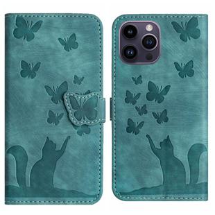 For iPhone 13 Pro Butterfly Cat Embossing Flip Leather Phone Case(Wathet)