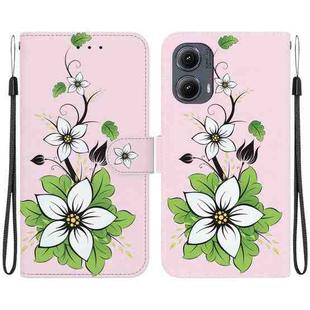 For Motorola Edge 2024 Crystal Texture Colored Drawing Leather Phone Case(Lily)