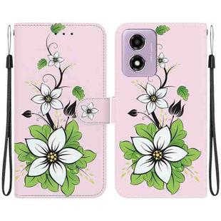 For Motorola Moto G04s / Moto E14 Crystal Texture Colored Drawing Leather Phone Case(Lily)