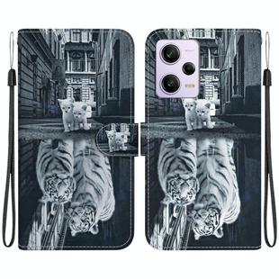 For Xiaomi Redmi Note 12 Pro Crystal Texture Colored Drawing Leather Phone Case(Cat Tiger Reflection)