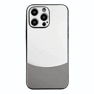 For iPhone 13 Pro Max Shockproof Frosted PC Silicone Frame Phone Case(Silver)