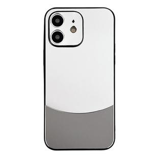 For iPhone 12 Shockproof Frosted PC Silicone Frame Phone Case(Silver)