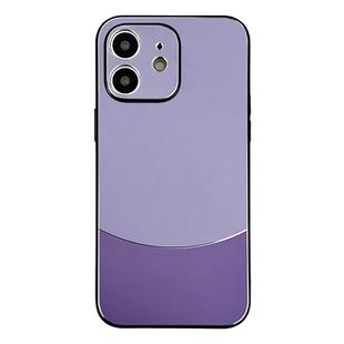 For iPhone 12 Shockproof Frosted PC Silicone Frame Phone Case(Purple)