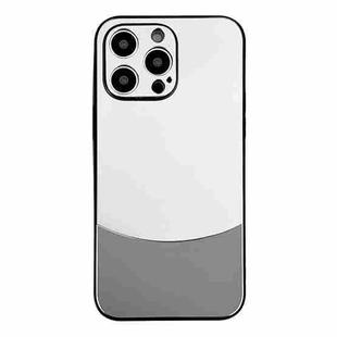 For iPhone 12 Pro Max Shockproof Frosted PC Silicone Frame Phone Case(Silver)