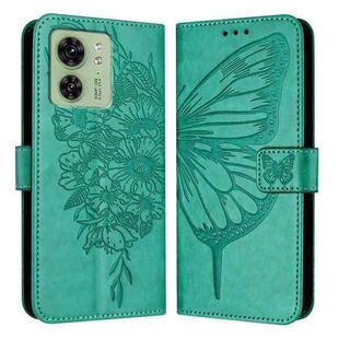 For Motorola Edge 40 5G Global/Edge 2023 US Embossed Butterfly Leather Phone Case(Green)