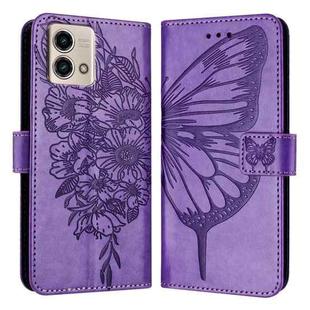 For Motorola Moto G Stylus 4G 2023 Embossed Butterfly Leather Phone Case(Purple)