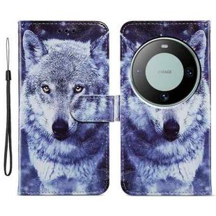 For Huawei Mate 60 Pro Painted Pattern Horizontal Flip Leather Phone Case(White Wolf)