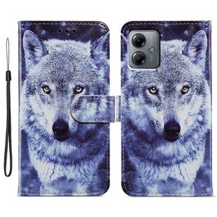 For Motorola Moto G14 Painted Pattern Horizontal Flip Leather Phone Case(White Wolf)