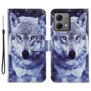 For Motorola Moto G84 Painted Pattern Horizontal Flip Leather Phone Case(White Wolf)