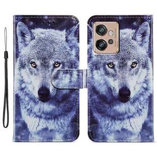 For Motorola Moto G32 Painted Pattern Horizontal Flip Leather Phone Case(White Wolf)