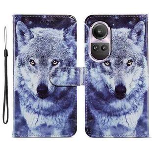For OPPO Reno10 /10 Pro Global Painted Pattern Horizontal Flip Leather Phone Case(White Wolf)