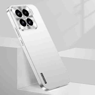For Xiaomi 15 Streamer Series Micro Frosted Metal Paint PC Phone Case(Silver)