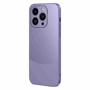 For iPhone 14 Pro Two Color Frosted Shockproof Phone Case(Purple)