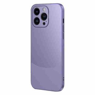 For iPhone 13 Pro Max Two Color Frosted Shockproof Phone Case(Purple)