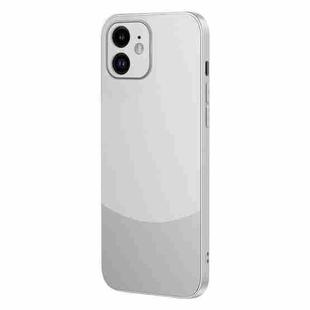 For iPhone 12 Two Color Frosted Shockproof Phone Case(Silver)